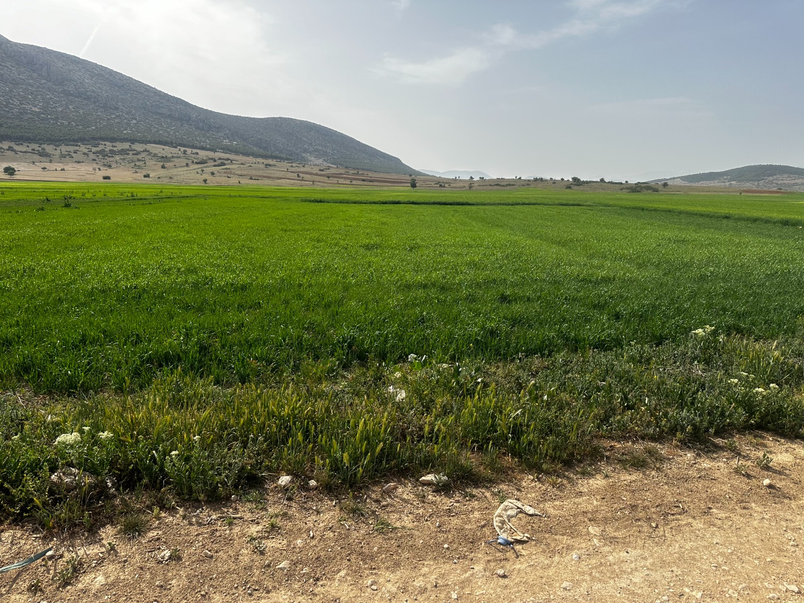 2 DÖNÜM KORKUTELİ BOZOVA’DA YATIRIMLIK FIRSAT TARLA